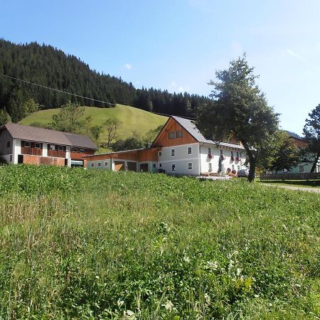 Huberbauer Villa Johnsbach Bagian luar foto