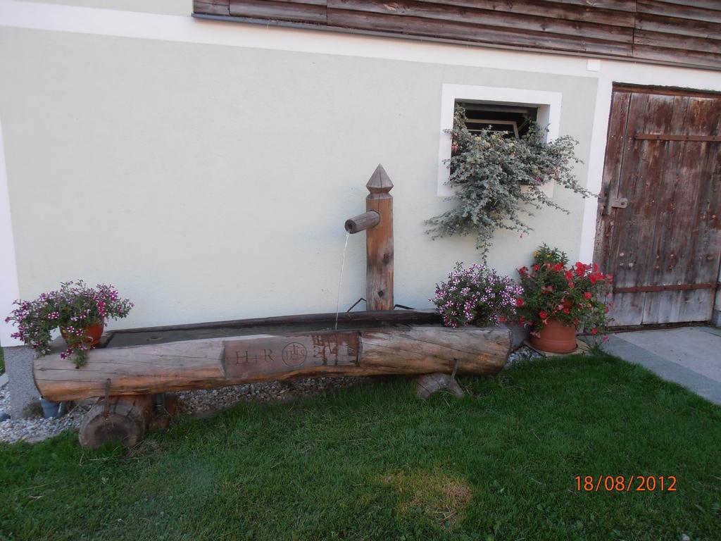 Huberbauer Villa Johnsbach Bagian luar foto