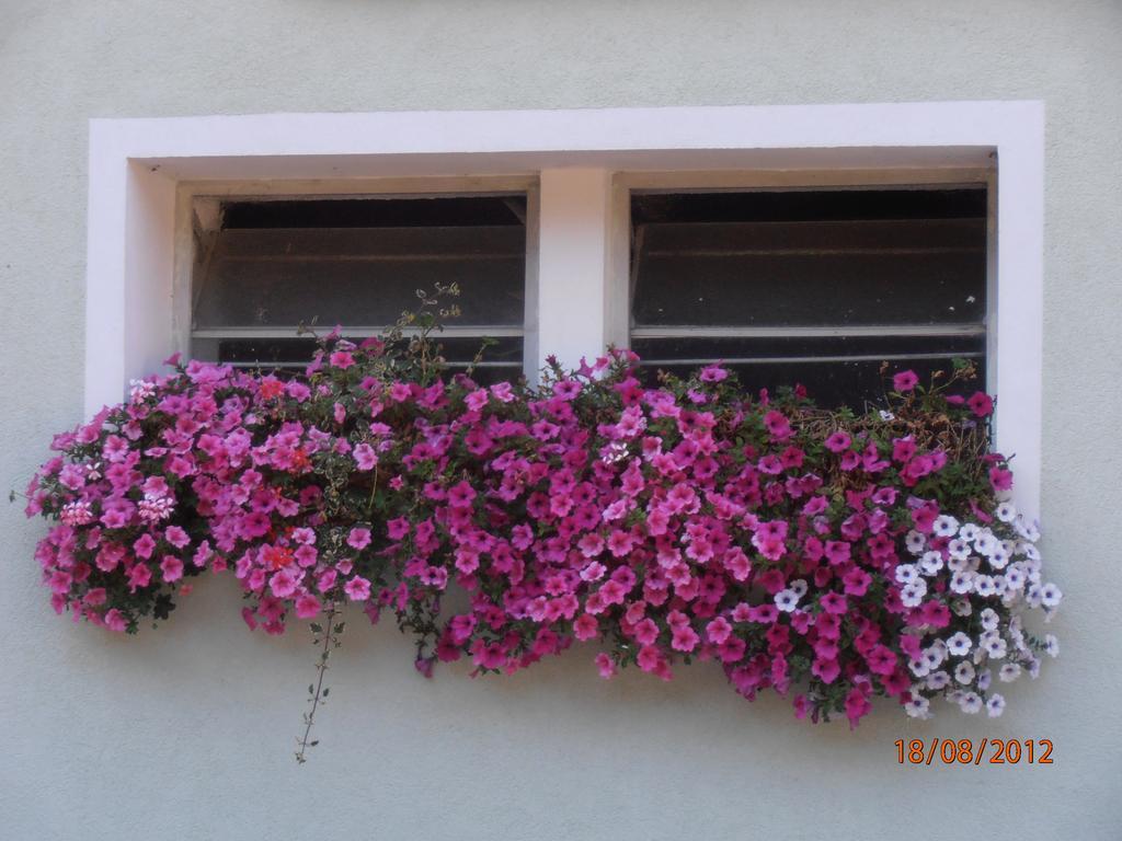 Huberbauer Villa Johnsbach Bagian luar foto