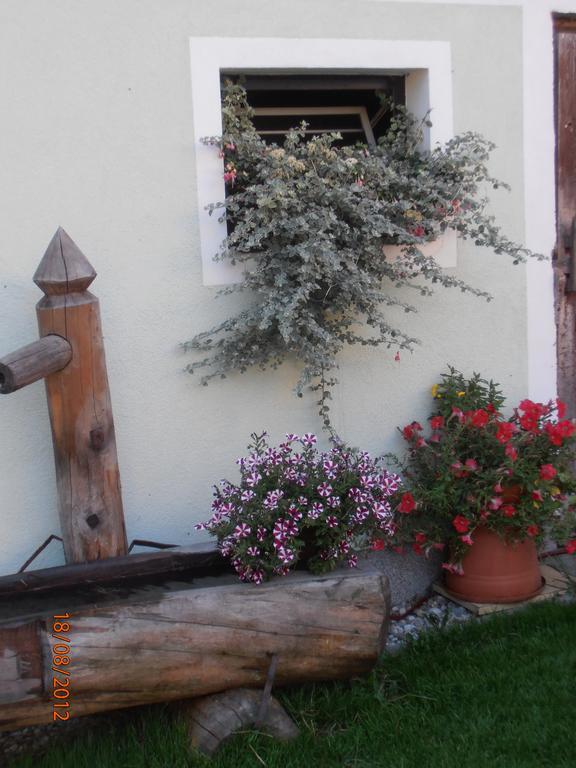 Huberbauer Villa Johnsbach Bagian luar foto
