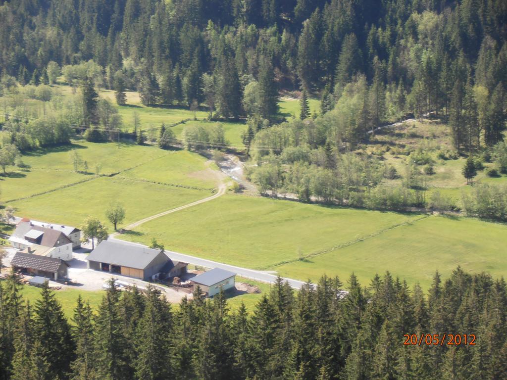 Huberbauer Villa Johnsbach Ruang foto