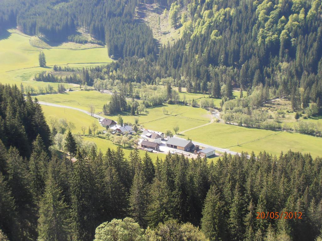 Huberbauer Villa Johnsbach Ruang foto