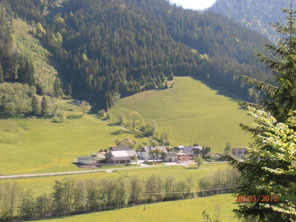 Huberbauer Villa Johnsbach Ruang foto