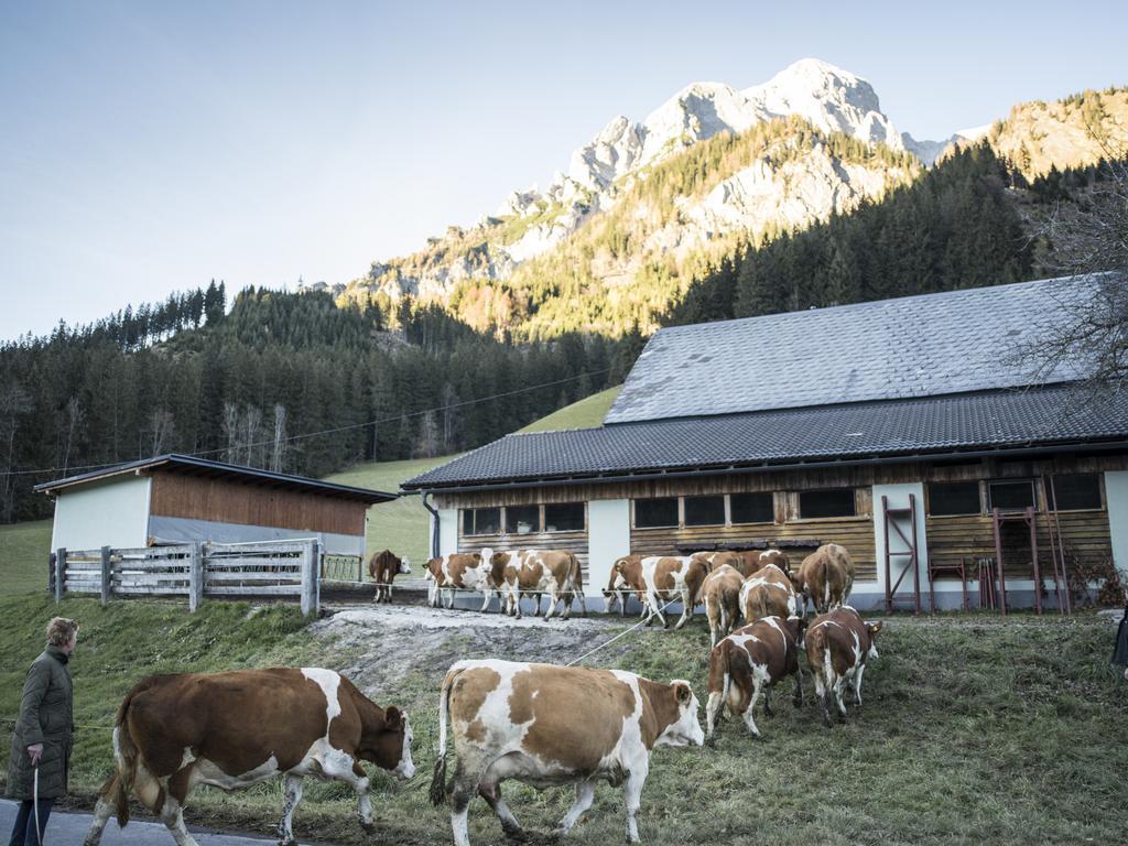 Huberbauer Villa Johnsbach Bagian luar foto