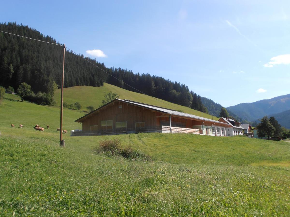 Huberbauer Villa Johnsbach Bagian luar foto